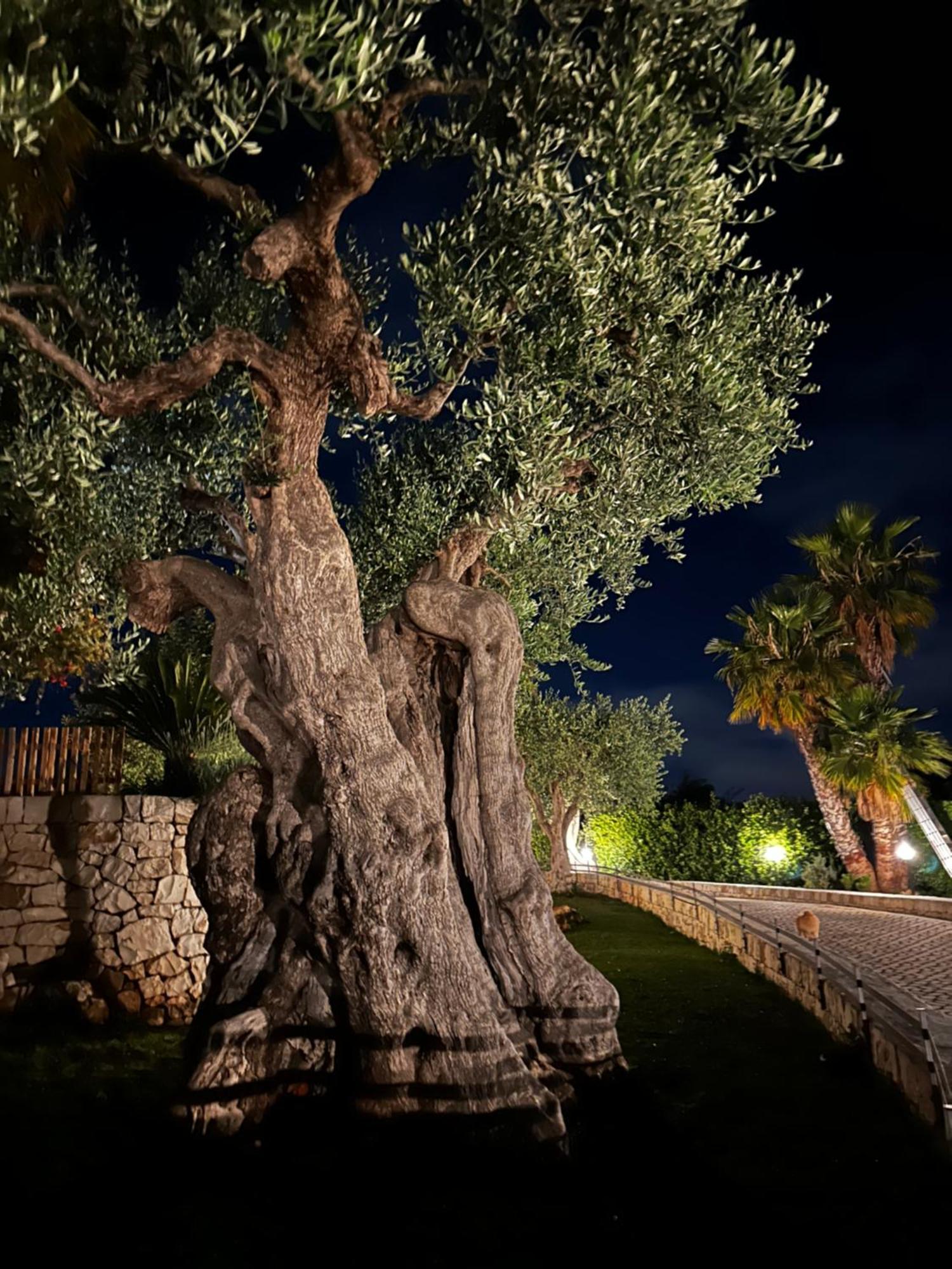 Alla Villa Di Angelo Monopoli Exterior photo